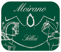 Moirano four-in-hand harnesses